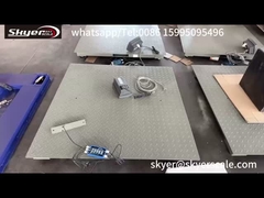 Acciaio di buona qualità 1.2mx1.2m Piattaforma 3Ton Pesatura pesante con piastra anti-topo