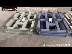 Scala di piattaforma Pesanti elettronici 150 kg per industria