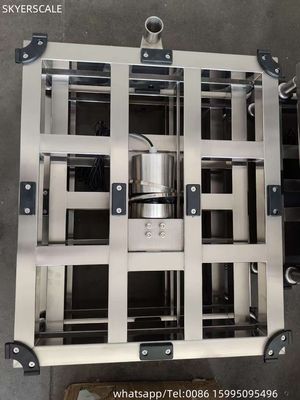 qualità  Inox waterproof  600x800cm  500kg  high Accuracy Industrial Digital Electronic  Bench Platform Scale Fabbrica
