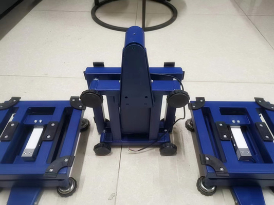 La polvere elettronica della bilancia del banco di precisione della piattaforma 500kg Digital ha ricoperto
