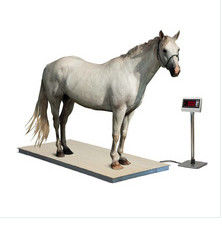 bilance 2t di 2.2x1.1m del cavallo elettronico del acciaio al carbonio
