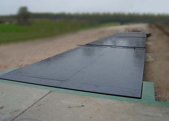 Bascule di Digital di 60 tonnellate
