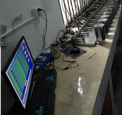 Cellula di carico dell'indicatore della bascula a ponte di Digital di protezione di sovraccarico