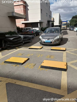 Scale portatile senza fili per autocarri
