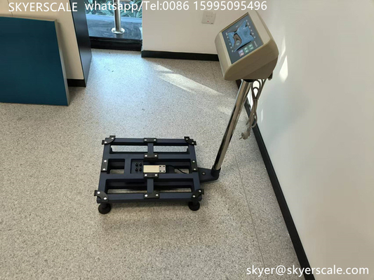 300kg Scala di piattaforma di panca collegare il computer con Rs232