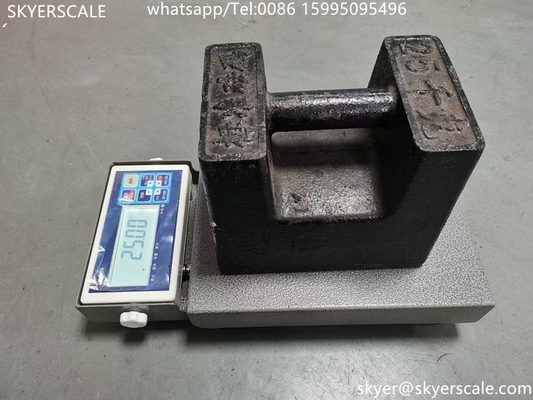 100 kg Scala di pesatura digitale logistica Display di alta precisione di conteggio Scala di piattaforma superiore