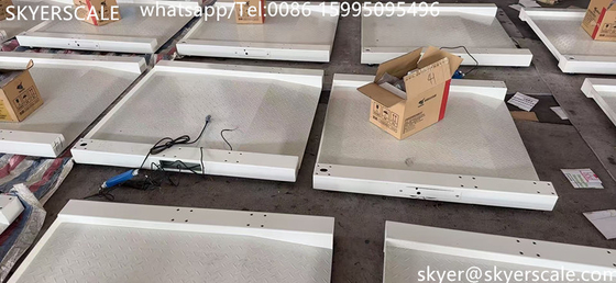 Ospedale medico dedicato 800x800mm 250kg scala sedia a rotelle