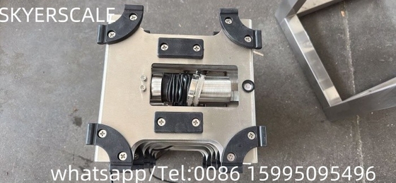 Scala di banco in acciaio inossidabile Pesatura industriale di piccole dimensioni OEM/ODM/OBM supportato