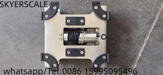 Scala di banco in acciaio inossidabile Pesatura industriale di piccole dimensioni OEM/ODM/OBM supportato