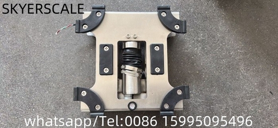 Scala di banco in acciaio inossidabile Pesatura industriale di piccole dimensioni OEM/ODM/OBM supportato