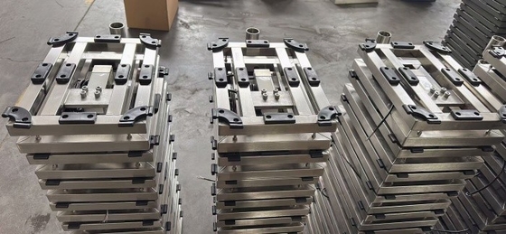Scala di pesatura impermeabile in acciaio inossidabile industriale 60 kg