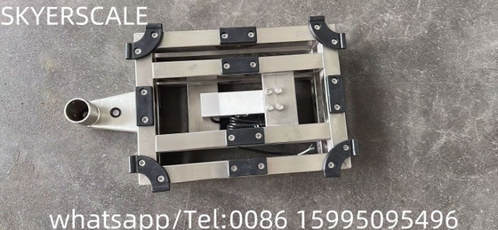 Scala di piattaforma di pesatura in acciaio inossidabile da 150 kg con indicatore LCD XK3190-A12