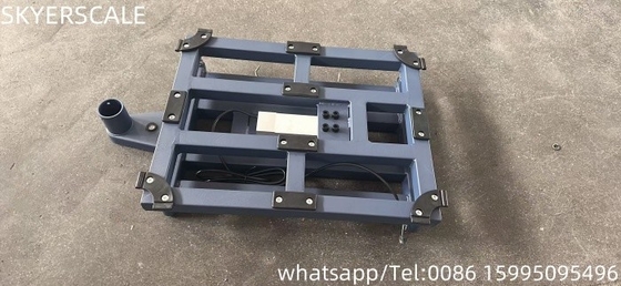 Scala digitale per piattaforme elettroniche TCS da 300 kg con trattamento opzionale in polvere