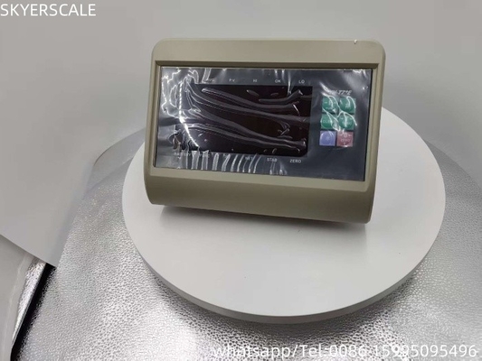 RS232 Indicatore di pesatura Display per la bilancia di banco Indicatori di bilancia LED XK3190 T7+E
