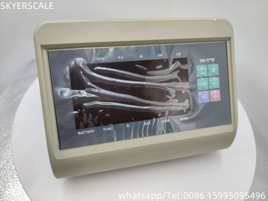 RS232 Indicatore di pesatura Display per la bilancia di banco Indicatori di bilancia LED XK3190 T7+E