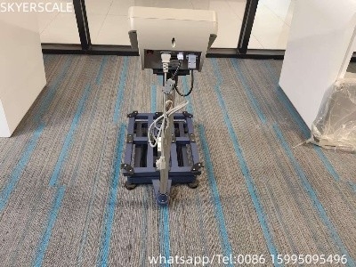 Piattaforma bilancia elettronica bilancia economica bilancia bancario 300kg