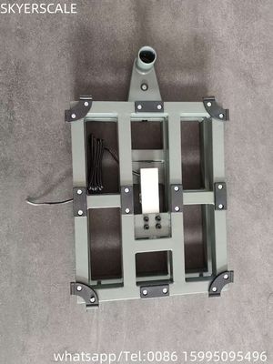 100kg 300x400mm Electronic Digital Retail Bench Scale Carbon Steel Platform LED ZEMIC Load Cell OEM ODM Personalizzato