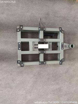 100kg 300x400mm Electronic Digital Retail Bench Scale Carbon Steel Platform LED ZEMIC Load Cell OEM ODM Personalizzato
