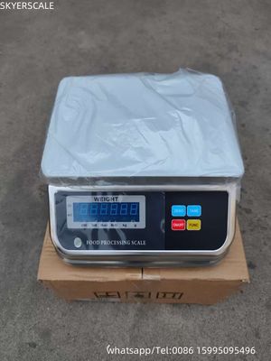 Prezzo di fabbrica IP68 impermeabile 30kg Pesatura digitale Pesci marini Pesca elettronica Alimenti Pesci impermeabili
