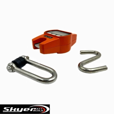 Scale digitale da gru da 300 kg con display LCD a LED