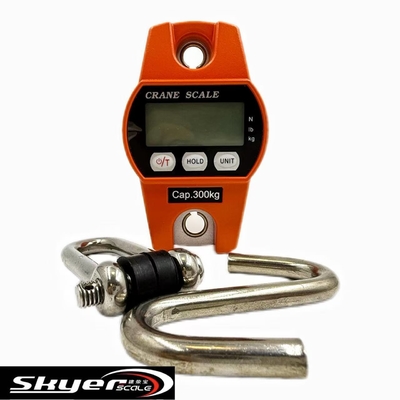 Scale digitale da gru da 300 kg con display LCD a LED