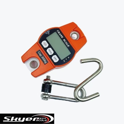 Scale digitale da gru da 300 kg con display LCD a LED