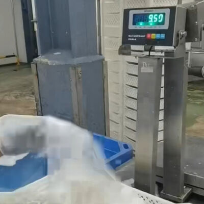 30x40cm 304 Acciaio inossidabile Scala di banco impermeabile 100kg