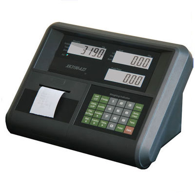 Yaohua d'abitazione di plastica che pesa indicatore