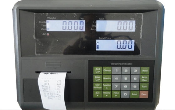 Yaohua d'abitazione di plastica che pesa indicatore