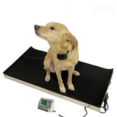 Bilancia animale di Digital di precisione del LED 60kg