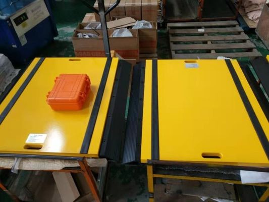 Il sovraccarico del veicolo dell'multi-asse riporta in scala con il basso profilo che l'asse portatile pesa i cuscinetti spinge le scale