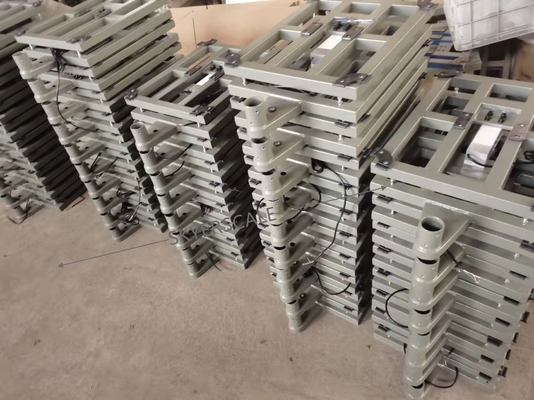pesa a bilico elettronica del TCS 800kg, bilance del pavimento del banco