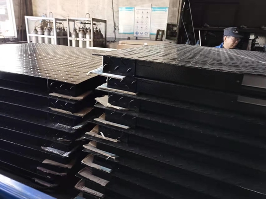 Bilance del pavimento elettronico SUS304 per l'industriale