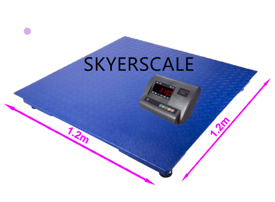 Indicatore elettronico della scala del LED XK3190 A12E Digital con la custodia in plastica